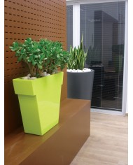 Il Vaso verde