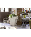 Il Vaso bianco