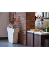 Il Vaso - Slide Design - ZStyle