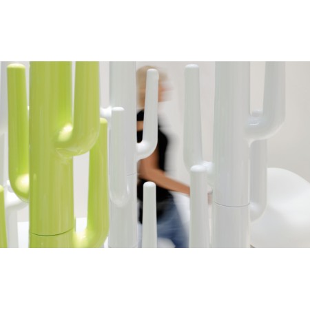 Lapsus bianco e verde