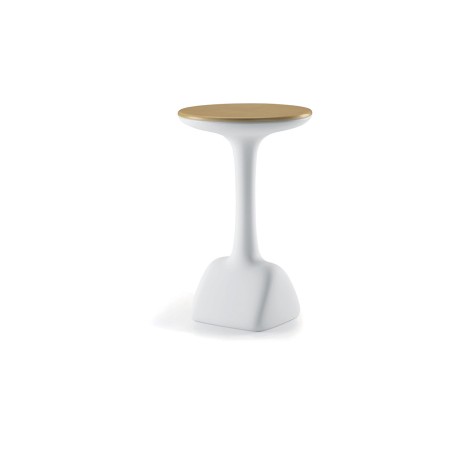 Armillaria table bianco e golden rust