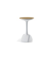 Armillaria table bianco e golden rust