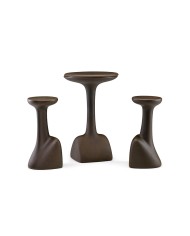 Armillaria table golden rust