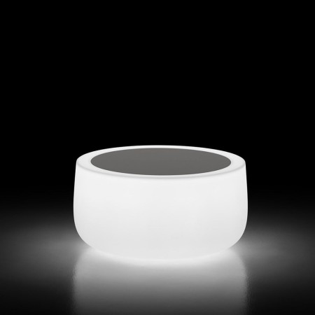 Bold T. luminoso