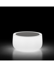 Bold T. luminoso