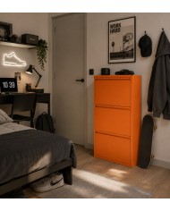 Scarpiera Slim in Metallo 3 Ante